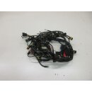 W1131. Ducati 898_1098 S Kabelbaum Kabel Kabelstrang wiring hairness 51017761A