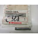 C325. Kawasaki KLR 250_650 GPZ 550 Bolzen Stift...