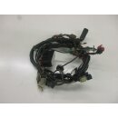 Kawasaki ER 5 ER500A Twister Kabelbaum (2) Kabelstrang Anschlußkabel wiring