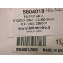 T21. Kymco Grand Dink 125_200 Ersatzfilter Luftfilter Filter air box 5604018