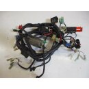 3. Honda CBF 600 NA ABS Hornet PC 38 Kabelbaum Kabelstrang Kabel wiring hairness