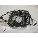 1. Kawasaki ZZR 1100 D ZXT 10 D Kabelbaum (1) Kabelstrang Kabel wiring hairness