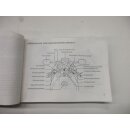 Honda CBR 600 F Handbuch Fahrerhandbuch Betriebsanleitung uso de manutenzione
