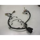 1. Honda XL 600 V PD 06 Transalp Kabelbaum 32100-MS6-91 Kabelstrang Kabel wiring