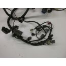 Honda CBR 600 RR PC 37 Kabelbaum Kabelstrang 32103-MEE-D000 Anschlußkabel Kabel 